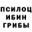 Галлюциногенные грибы Magic Shrooms Gulzira Aidasova
