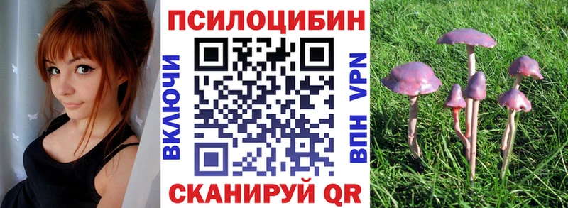 Купить  Белинский  Псилоцибиновые грибы GOLDEN TEACHER 